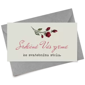 Papírová pozvánka VIVY