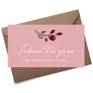 Plexi pozvánka VIVY