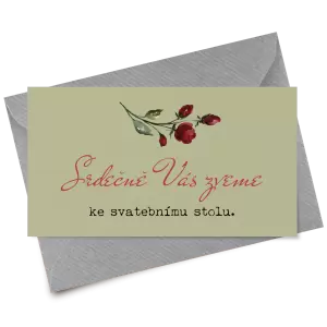 Papírová pozvánka VIVY