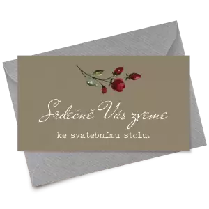 Papírová pozvánka VIVY