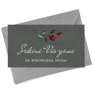 Papírová pozvánka VIVY