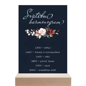 Papírový harmonogram VIVY