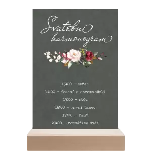 Papírový harmonogram VIVY