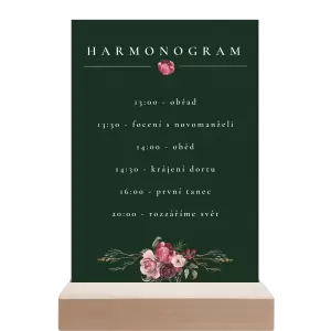 Papírový harmonogram RASY