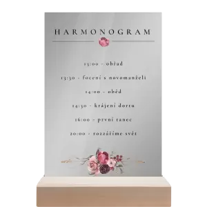 Plexi harmonogram RASY