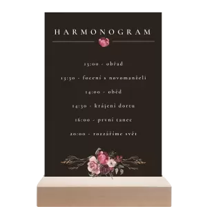 Papírový harmonogram RASY