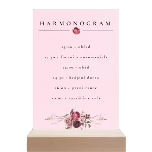 Papírový harmonogram RASY