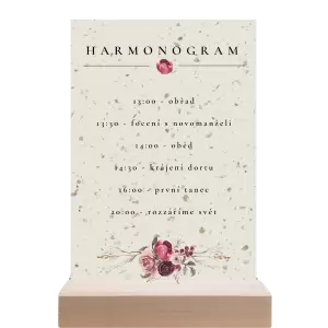 Papírový harmonogram RASY