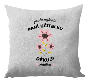 Polštář Pro tu nejlepší paní učitelku