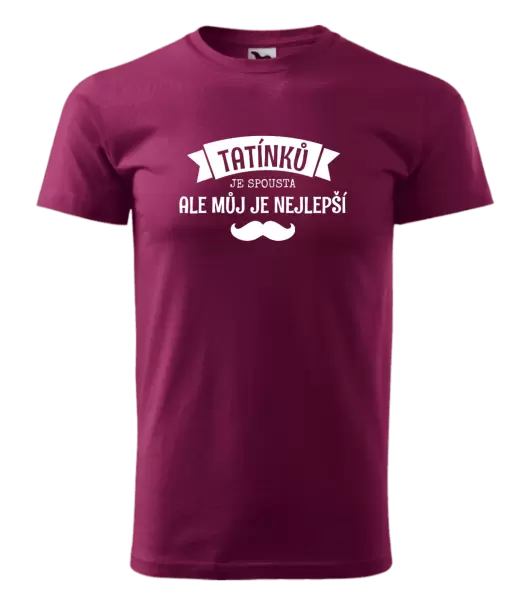 Pánské tričko Tatínků je spousta, ale můj je nejlepší