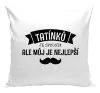 Polštář Tatínků je spousta, ale můj je nejlepší