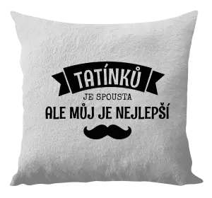 Polštář Tatínků je spousta, ale můj je nejlepší