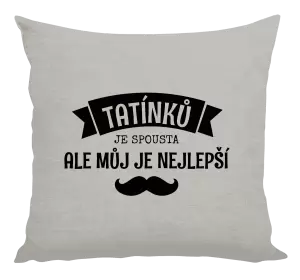 Polštář Tatínků je spousta, ale můj je nejlepší