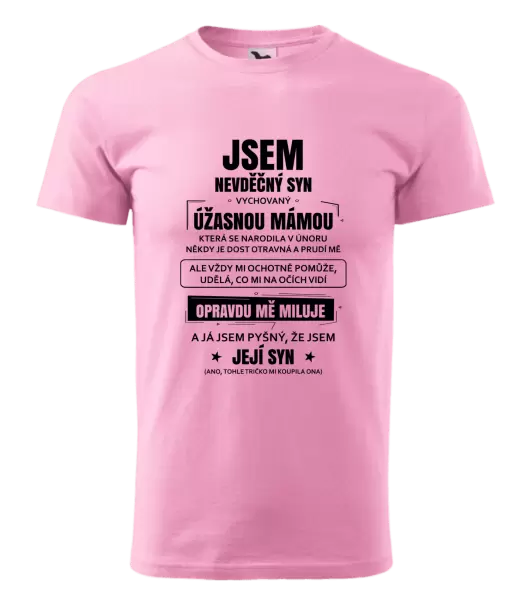 Pánské tričko Mámin nevděčný syn