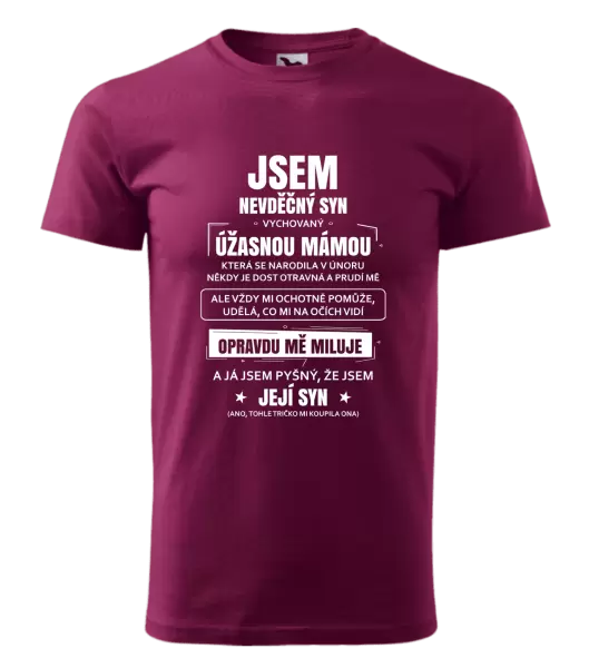Pánské tričko Mámin nevděčný syn