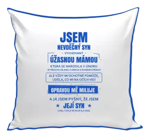 Polštář Mámin nevděčný syn