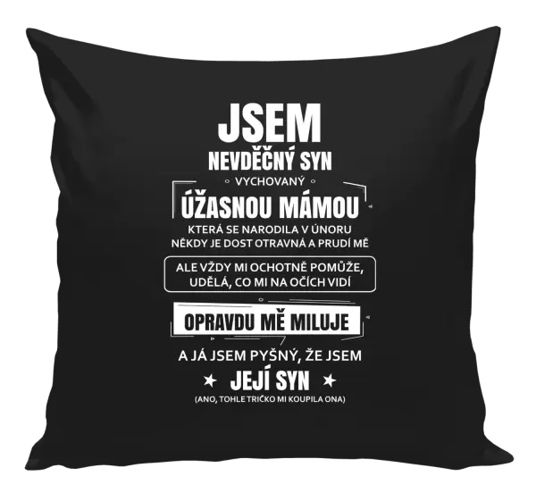 Polštář Mámin nevděčný syn