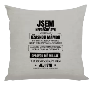 Polštář Mámin nevděčný syn