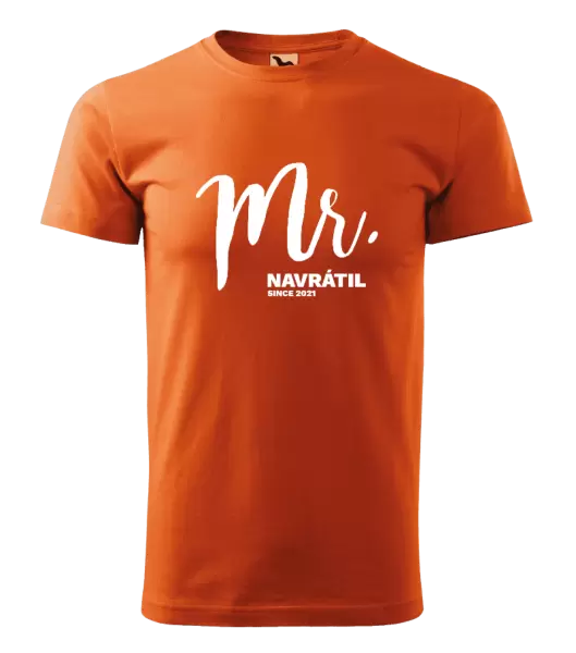 Pánské tričko Mr. since ...