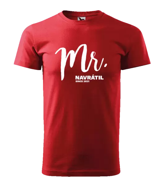 Pánské tričko Mr. since ...