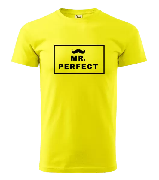 Pánské tričko Mr. Perfect