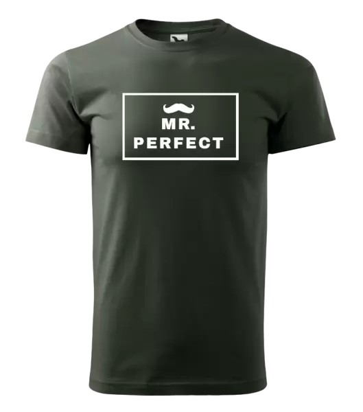Pánské tričko Mr. Perfect