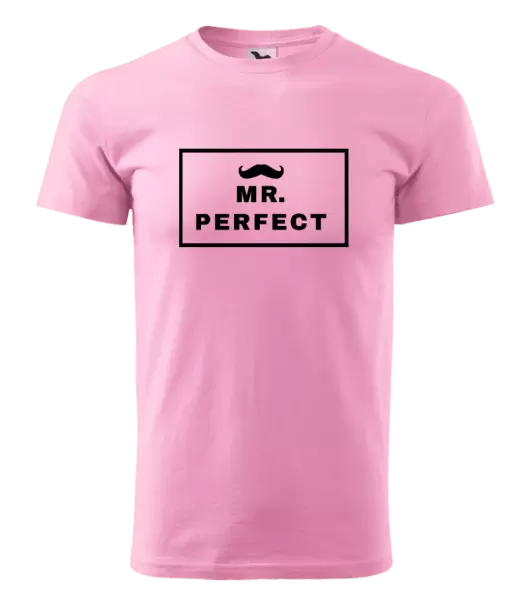 Pánské tričko Mr. Perfect