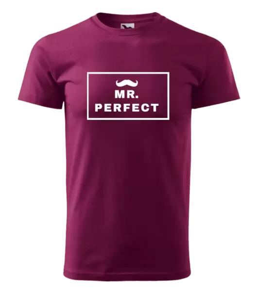 Pánské tričko Mr. Perfect