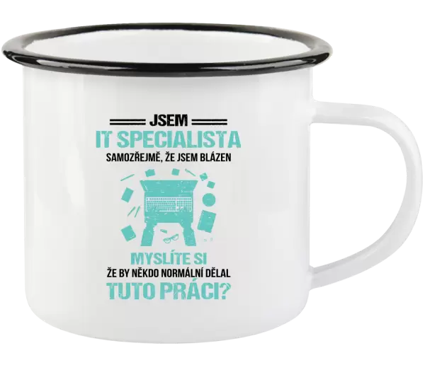 Plecháček Samozřejmě, že jsem blázen - IT specialista