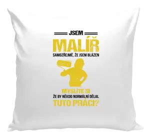 Polštář Samozřejmě, že jsem blázen - malíř
