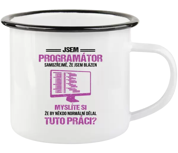 Plecháček Samozřejmě, že jsem blázen - programátor