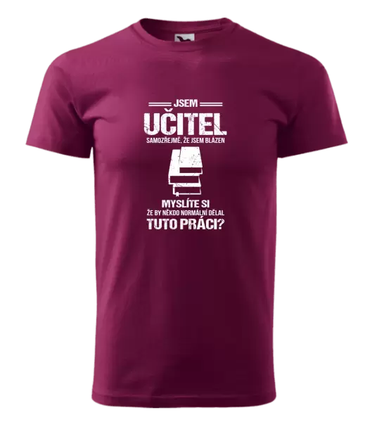 Pánské tričko Samozřejmě, že jsem blázen - učitel