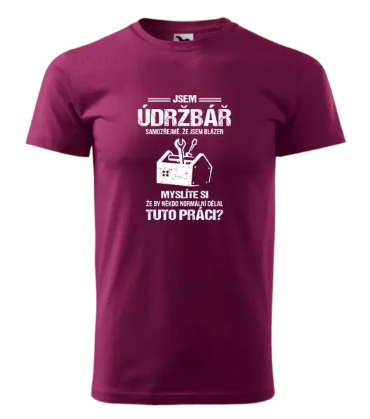 Pánské tričko Samozřejmě, že jsem blázen - údržbář