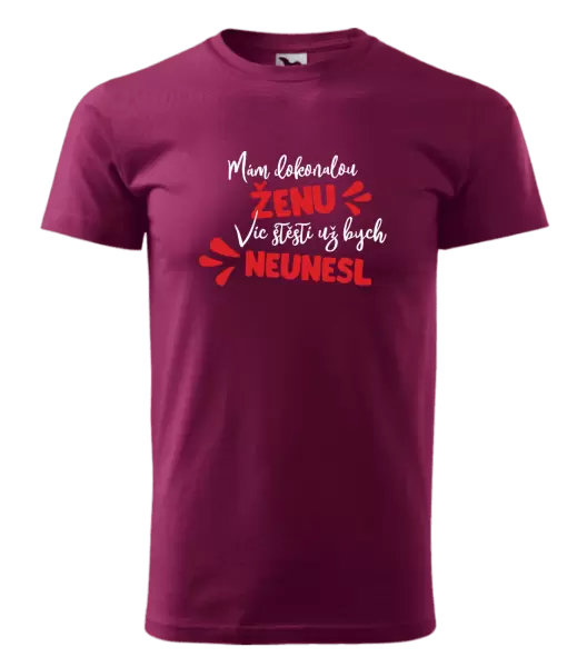 Pánské tričko Mám dokonalou ženu, víc štěstí už bych neunesl