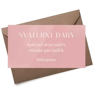 Plexi kartička dary MINA