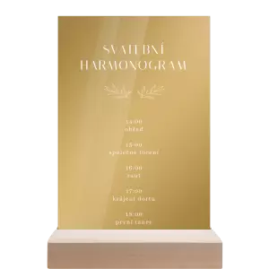 Plexi harmonogram MINA