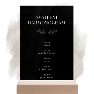 Plexi harmonogram MINA