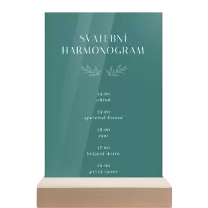 Plexi harmonogram MINA