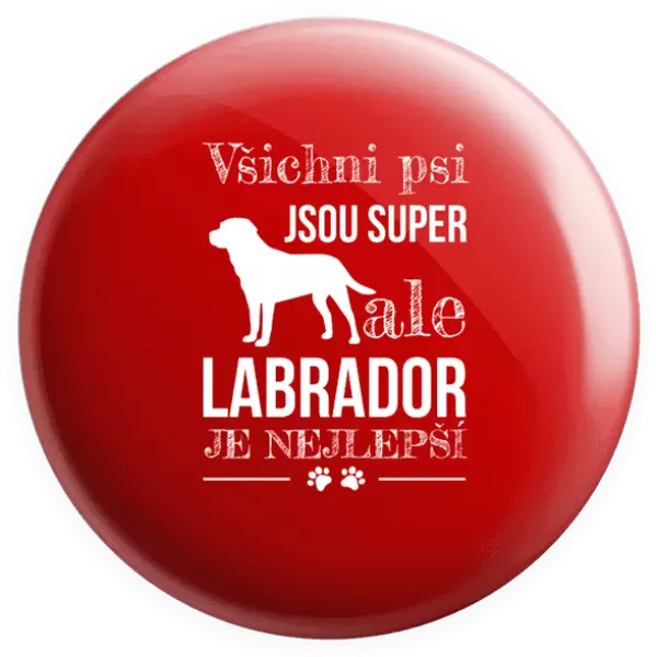 Placka Labrador je nejlepší