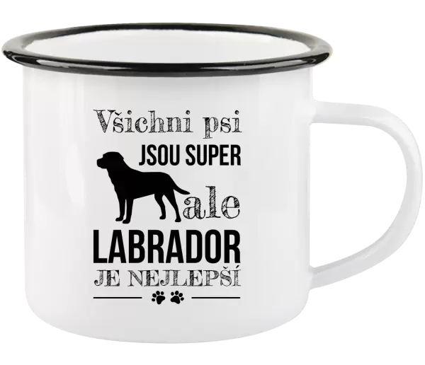 Plecháček Labrador je nejlepší