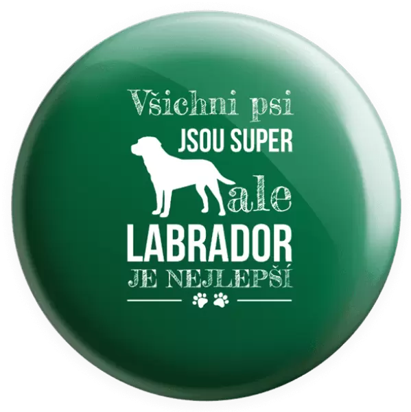 Placka Labrador je nejlepší