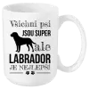Hrnek Labrador je nejlepší