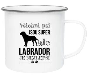 Plecháček Labrador je nejlepší