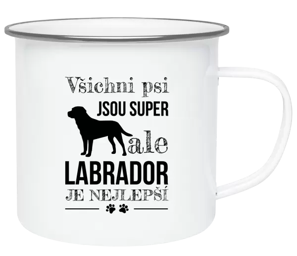 Plecháček Labrador je nejlepší