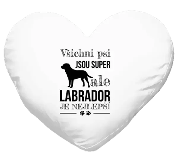 Polštář Labrador je nejlepší