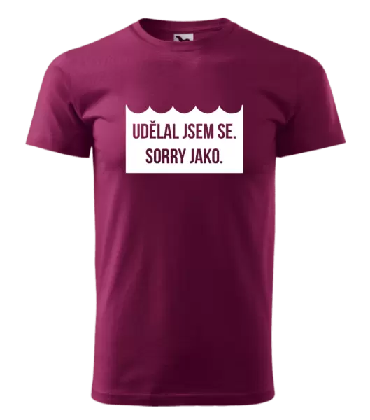 Pánské vodácké tričko Udělal jsem se. Sorry jako.