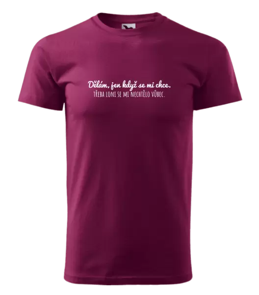 Pánské tričko Dělám, jen když se mi chce