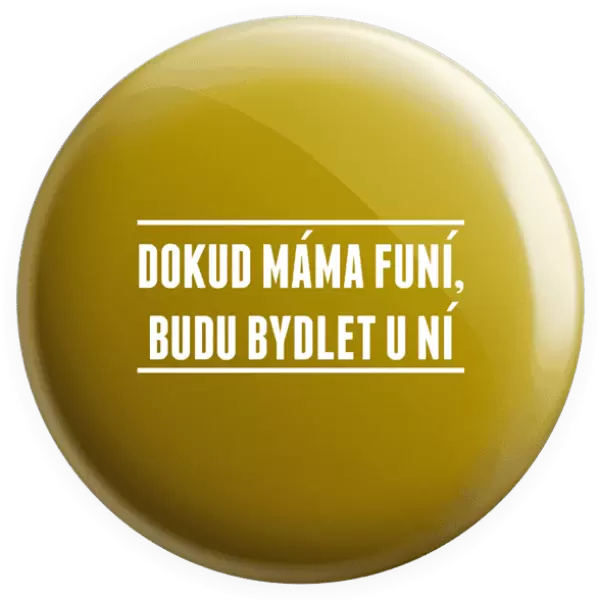 Placka Dokud máma funí, budu bydlet u ní