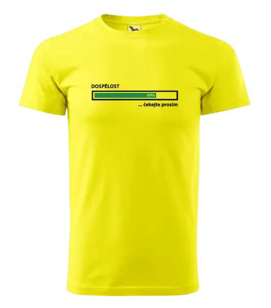 Pánské tričko Dospělost - čekejte prosím