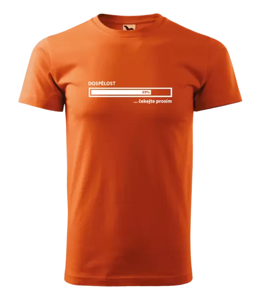 Pánské tričko Dospělost - čekejte prosím